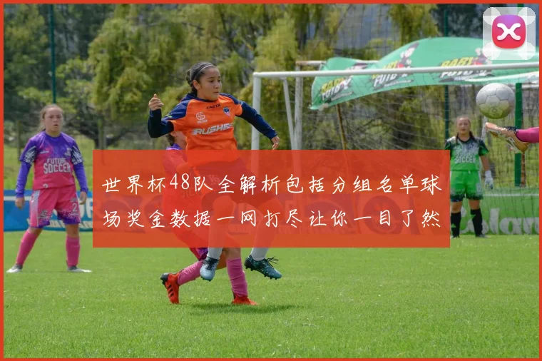 世界杯48队全解析包括分组名单球场奖金数据一网打尽让你一目了然